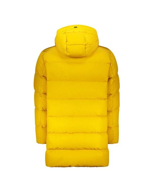Herno Jassen ,Geel ,Waterdichte Donsjas Met Capuchon in het Yellow voor heren