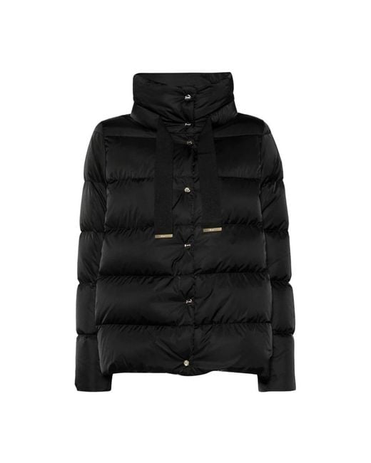 Winter Jackets Herno en coloris Black