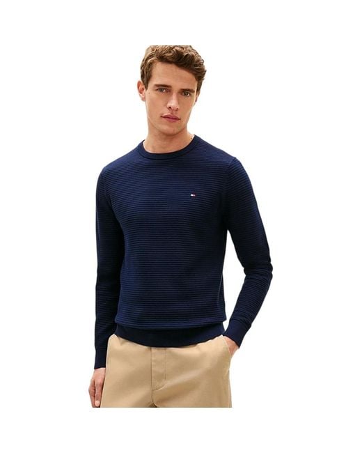 Tommy Hilfiger Blue Round-Neck Knitwear for men