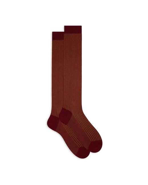 Gallo Burgundy twin-rib cotton socks in Brown für Herren