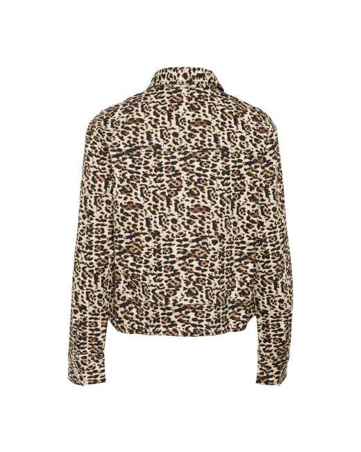 Saint Tropez Black Light Jackets
