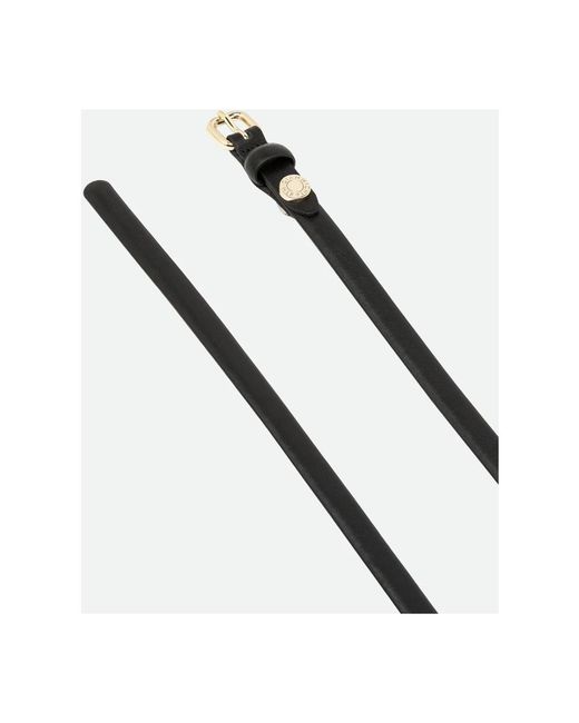 Gianni Chiarini Black Belts