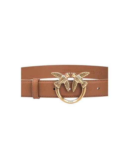 Belts Pinko de color Brown