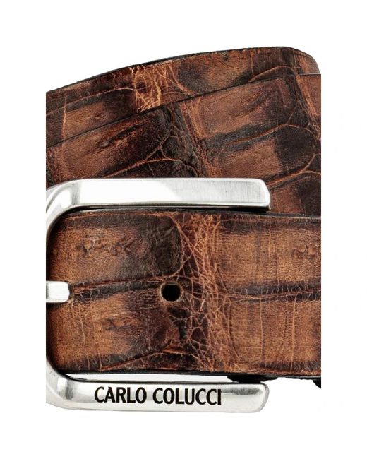 carlo colucci Brown Belts for men