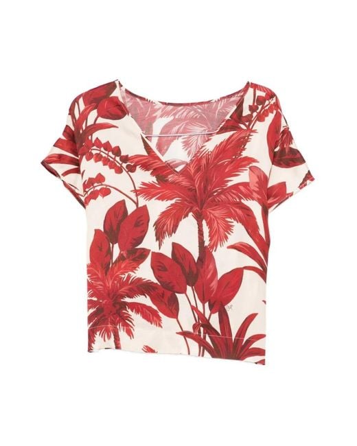 Clips Red Blouses
