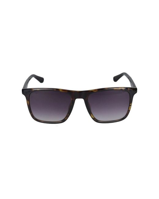 Police Purple Sunglasses