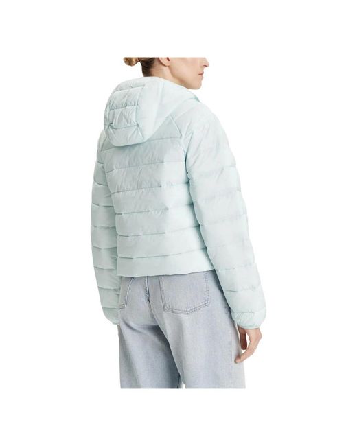 Calvin Klein Blue Down Jackets