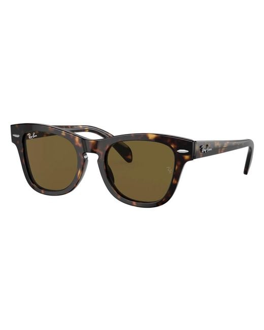Ray-Ban Brown Sunglasses