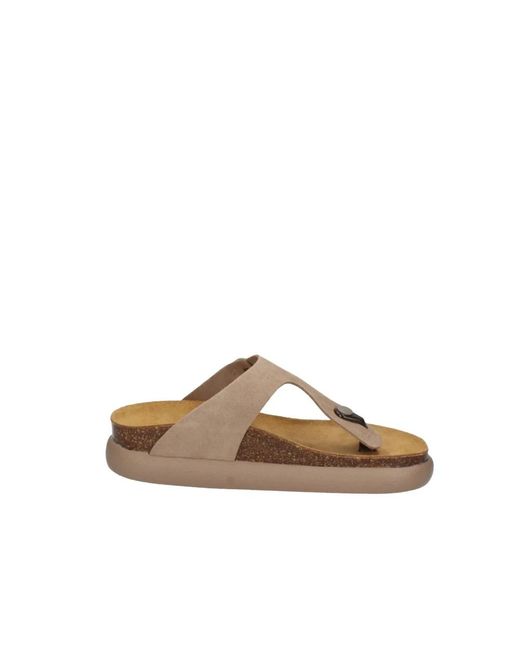 Flip Flops Scholl de color Brown