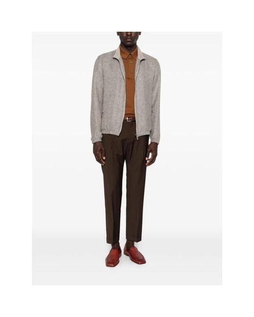 BRIGLIA Brown Chinos for men
