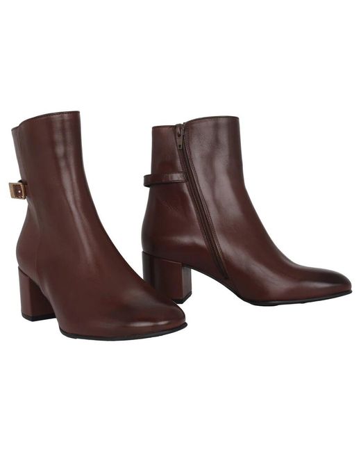 Heeled Boots Högl en coloris Brown