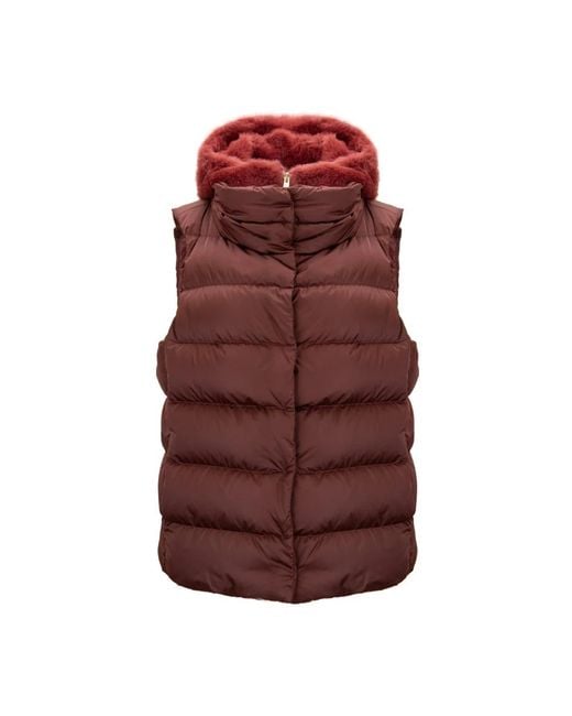Herno Brown Vests