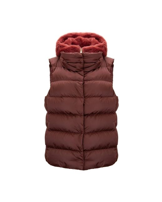 Herno Brown Vests