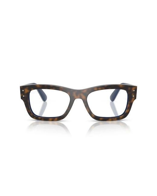 Ray-Ban Blue Glasses