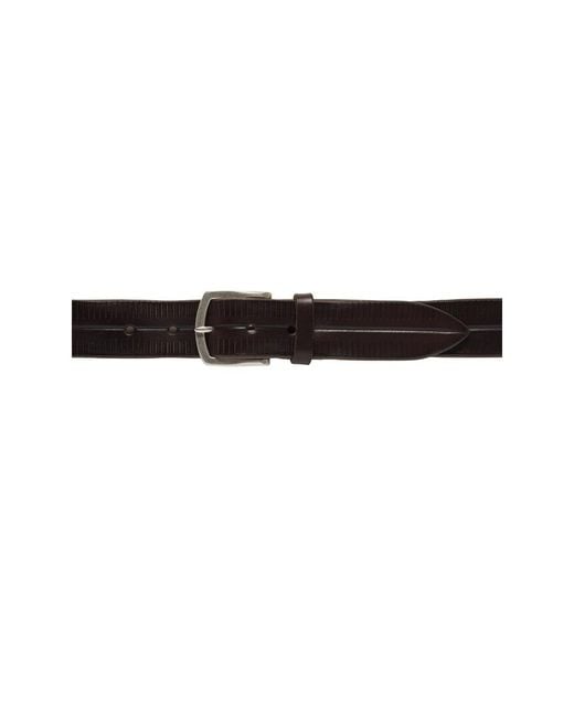 Orciani Brown Belts for men
