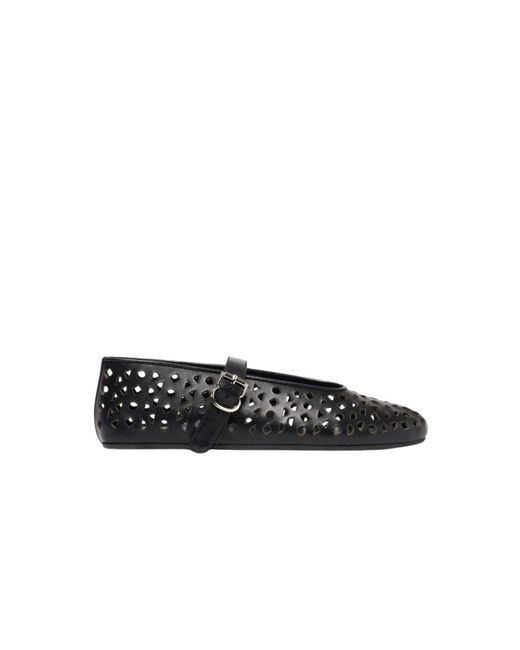 Scarosso Black Evelyn