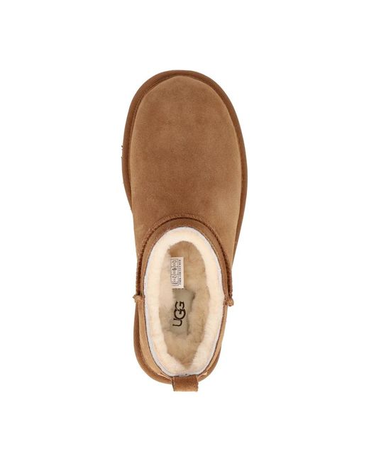 Ugg Classic Micro Boot Chestnut in het Brown
