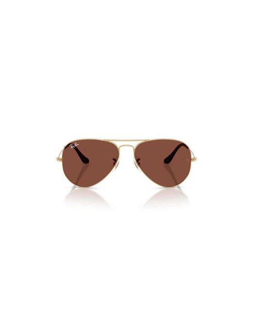 Ray-Ban Brown Sunglasses