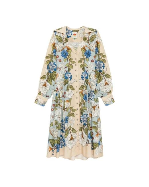 Farm Rio Blue Shirt Dresses