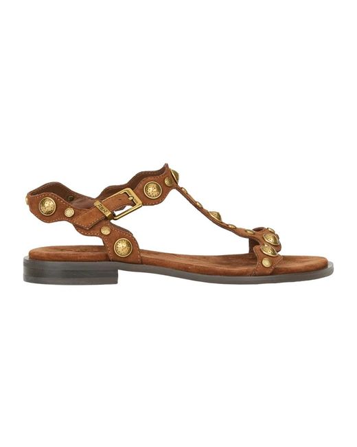 Ash Brown Phanny Sandal