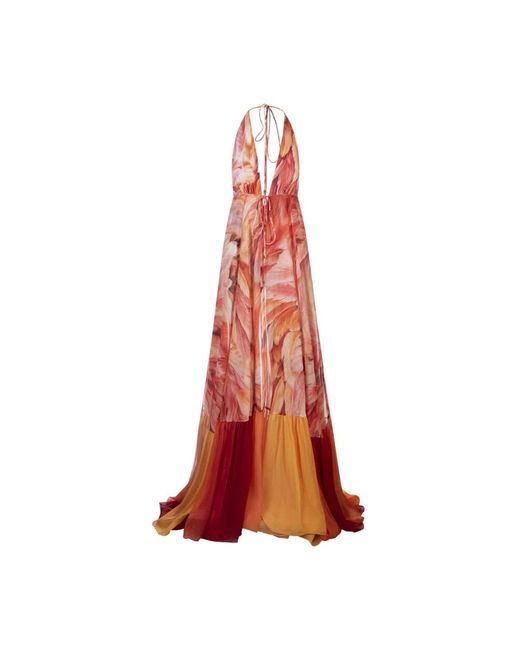 Roberto Cavalli Orange Gowns
