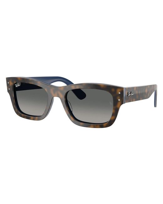 Ray-Ban Gray Sunglasses