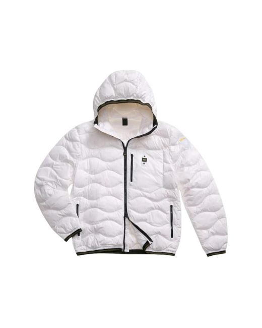 Blauer Men's Gray Down Jackets