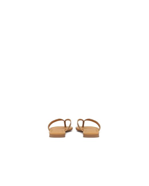 Flip Flops Kazar en coloris Brown
