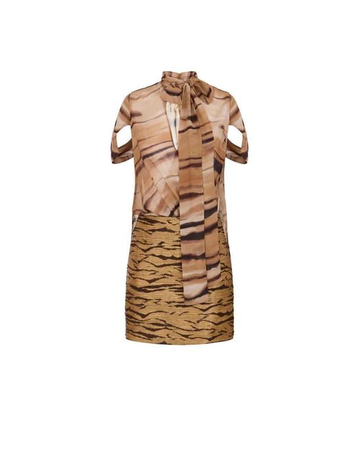 Elisabetta Franchi Brown Party Dresses