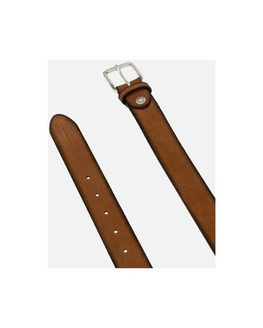Gianni Chiarini Brown Belts