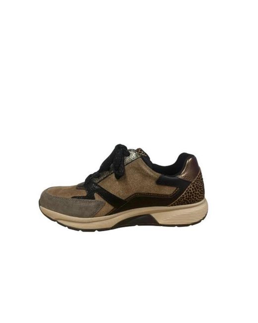 Gabor Brown Lage Sneaker