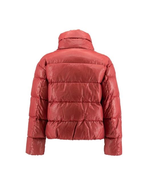 Winter Jackets Parajumpers de color Red
