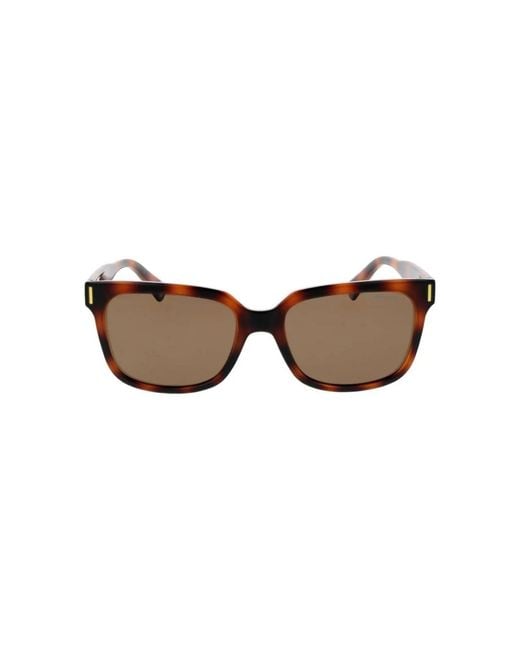 Polaroid Brown Sunglasses