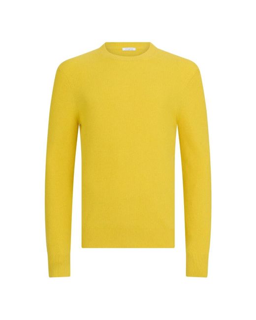 Malo Yellow Round-Neck Knitwear for men