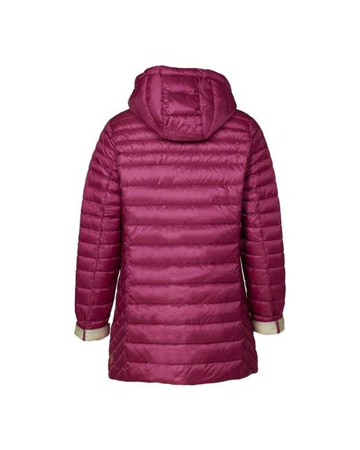 Down Jackets Danwear de color Purple