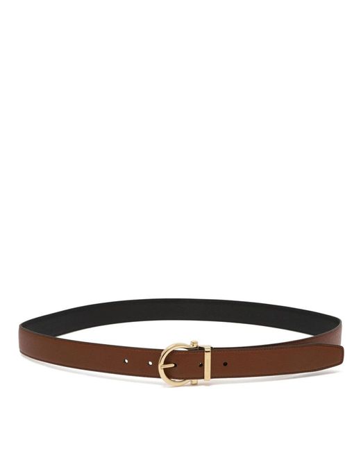 Ferragamo Brown Belts for men