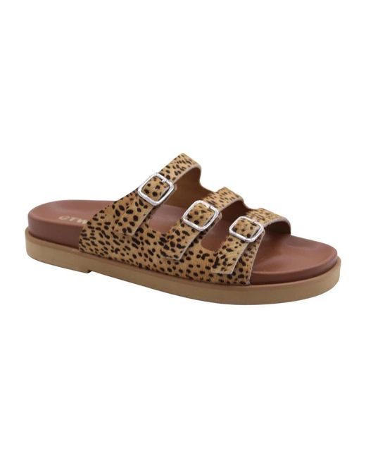 CTWLK Schoenen ,Bruin ,Perri Slipper in het Brown
