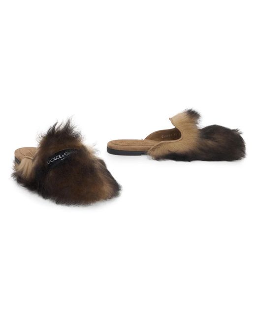 Dolce & Gabbana Brown Slippers