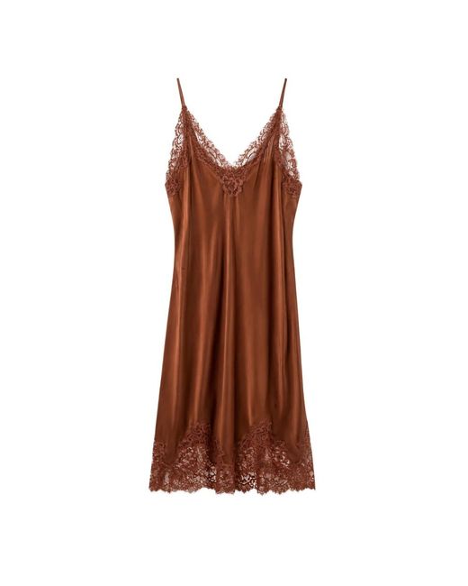 Gold Hawk Brown Nightgowns
