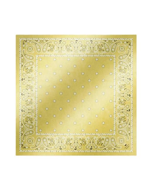 Weekend by Maxmara Yellow Scarves