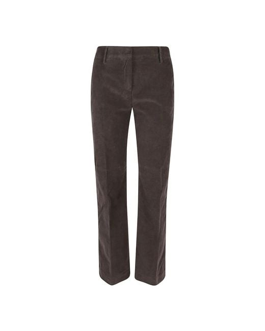 True Royal Gray Straight Trousers