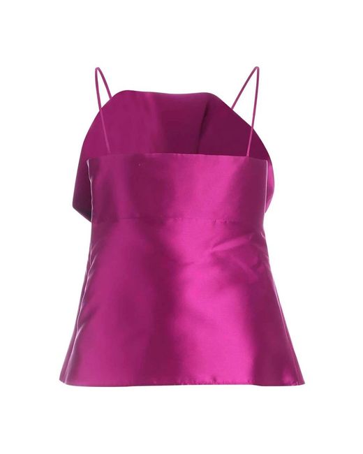 Alberta Ferretti Top in het Purple