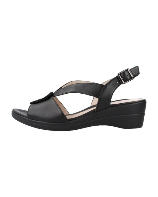 Stonefly Black Vanity Iii 33