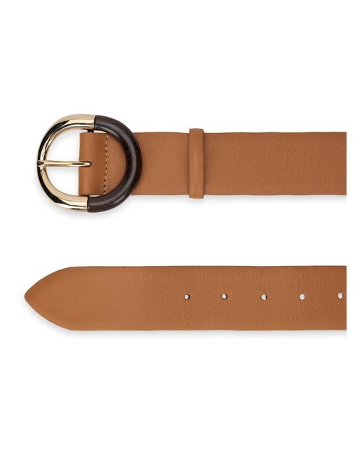 Alberta Ferretti Brown Belts