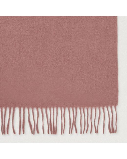 Winter Scarves di Mulberry in Purple