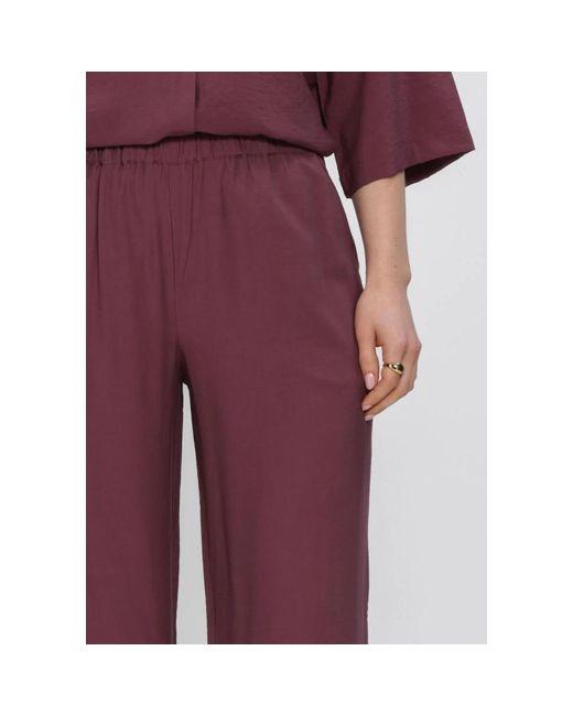 Modström Nickimd Pants in het Purple