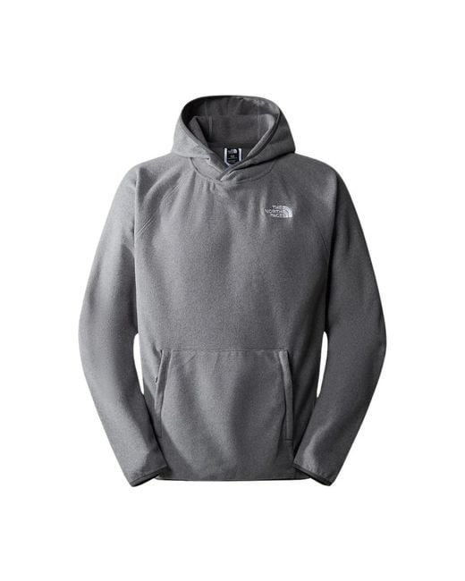 The North Face Hoodies in het Gray voor heren