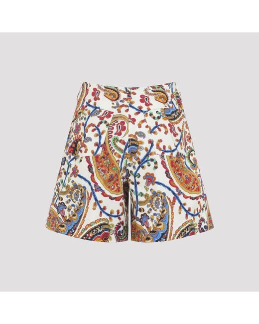 Etro Blue Casual Shorts
