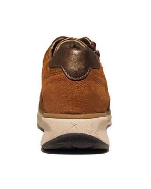 Xsensible Xsensible in het Brown