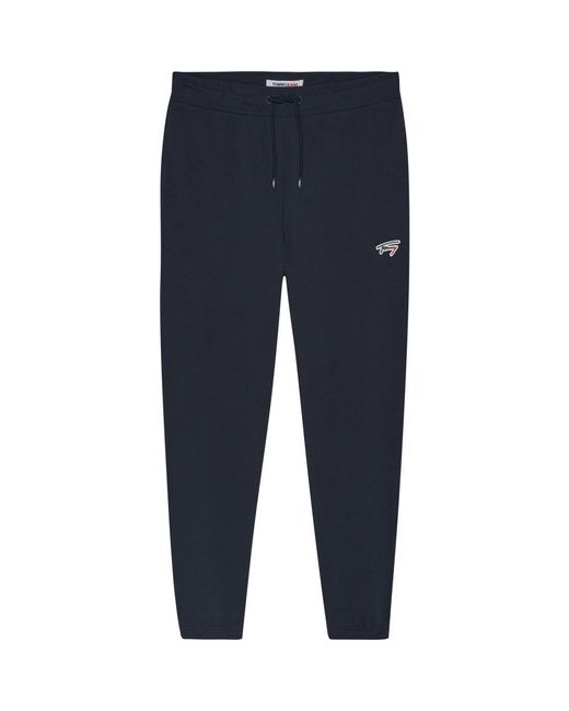 Tommy Hilfiger Blue Sweatpants for men